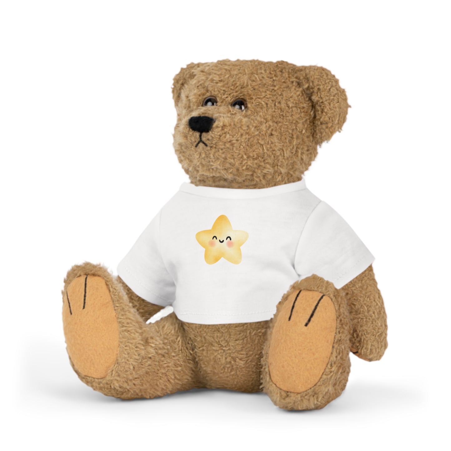 cute bear with a star shirt